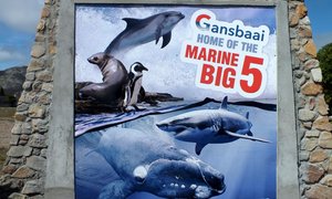 Dorpsingang word verfraai